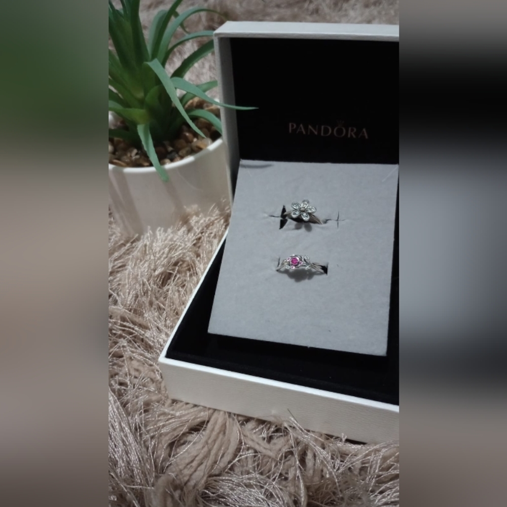 Beautifull Pandora rings replic , not includes they box .....